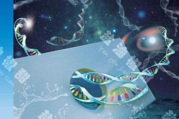 逆轉DNA甲基化抗衰老話題引關注中醫藥創新研發成果登SCI期刊